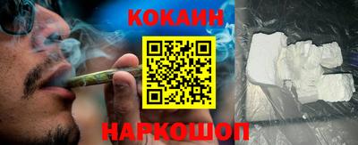 гашик Донской