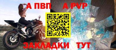 гашик Донской