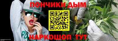 гашик Донской