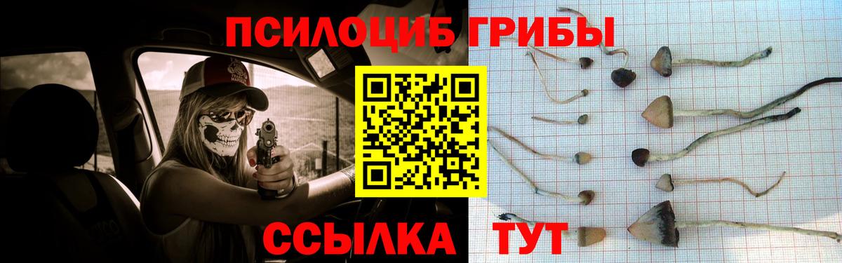 Галлюциногенные грибы Psilocybe  Вход с VPN  Псилоцибиновые грибы мухоморы  Красноуфимск 