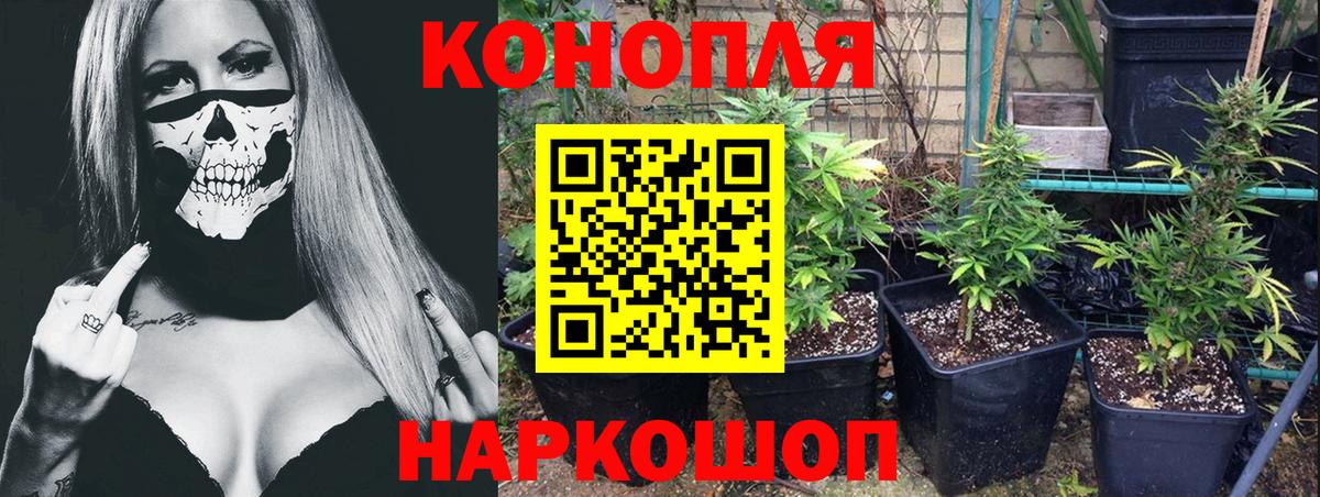 Красноуфимск  Каннабис тримм  Вход с VPN  Бошки марихуана Bruce Banner  Марихуана семена 
